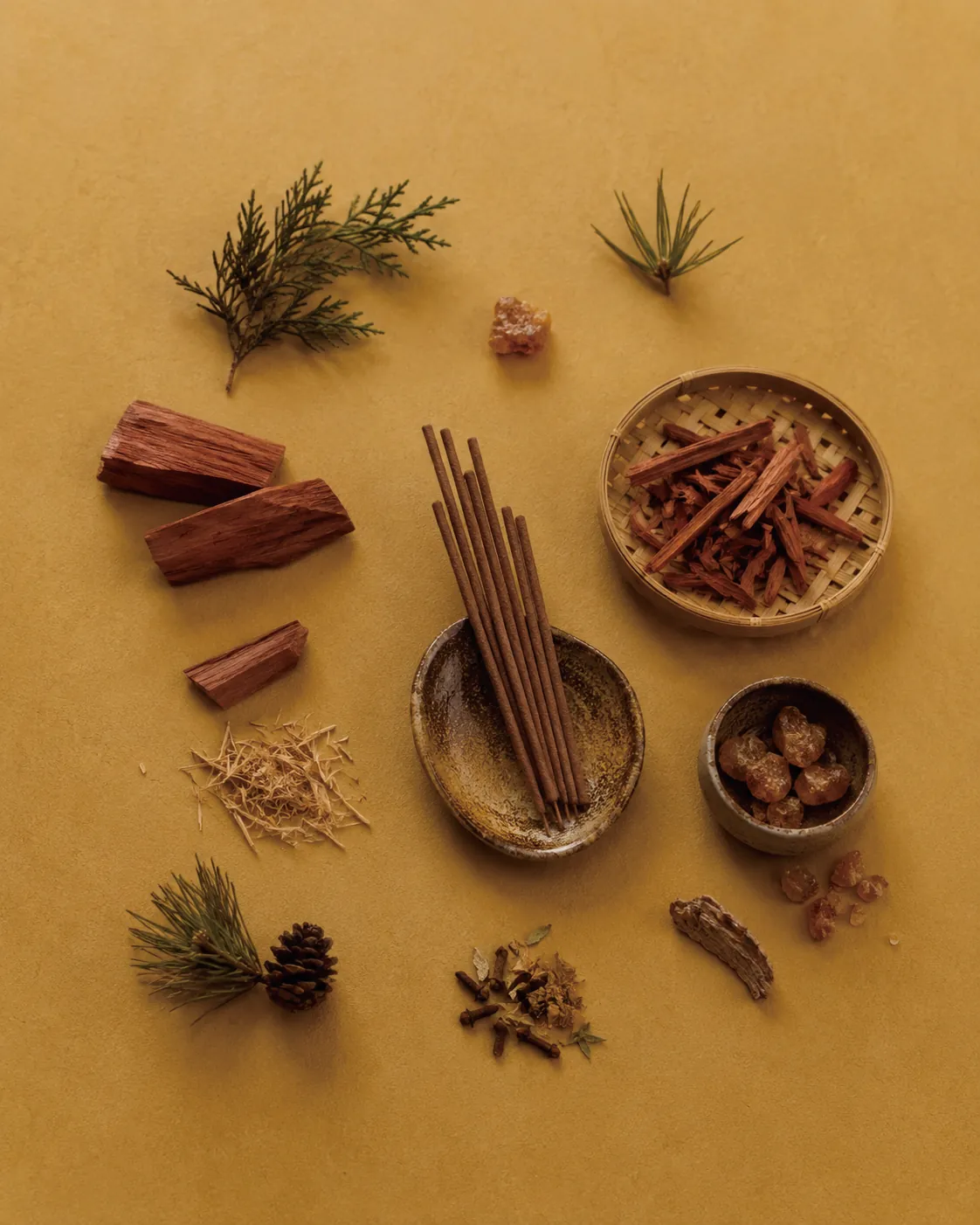 Incense sticks resting in a ceramic dish, surrounded by pieces of red wood, pale shavings and conifer sprigs on an ochre ground.