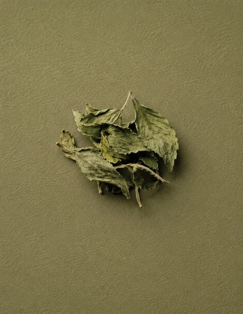 A small pile of dried herb leaves on an olive-green ground.