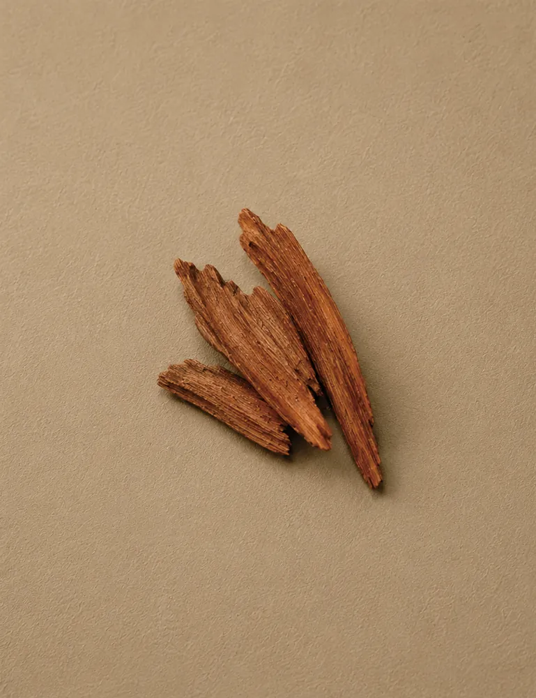 Slivers of red sandalwood on a warm tan ground.